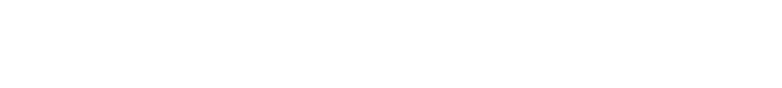 DRIVER 2 RACER